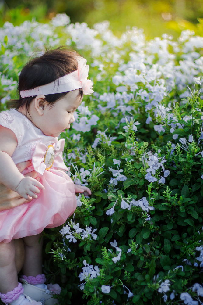 Similar – Image, Stock Photo Emma with Schnneeglöckchen