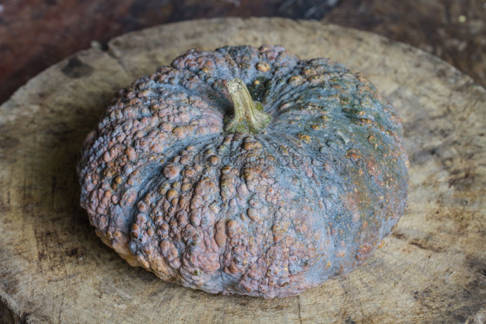 Image, Stock Photo avocado Food Fruit