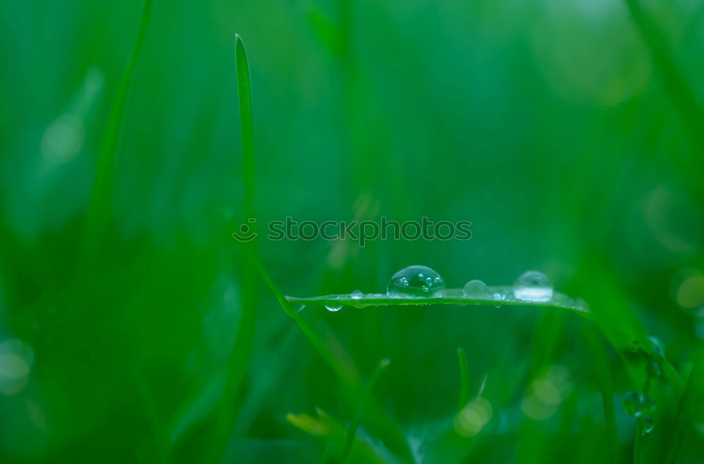 Similar – Image, Stock Photo lightning rain Nature