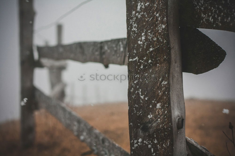 Similar – Image, Stock Photo Forgotten World Liberate