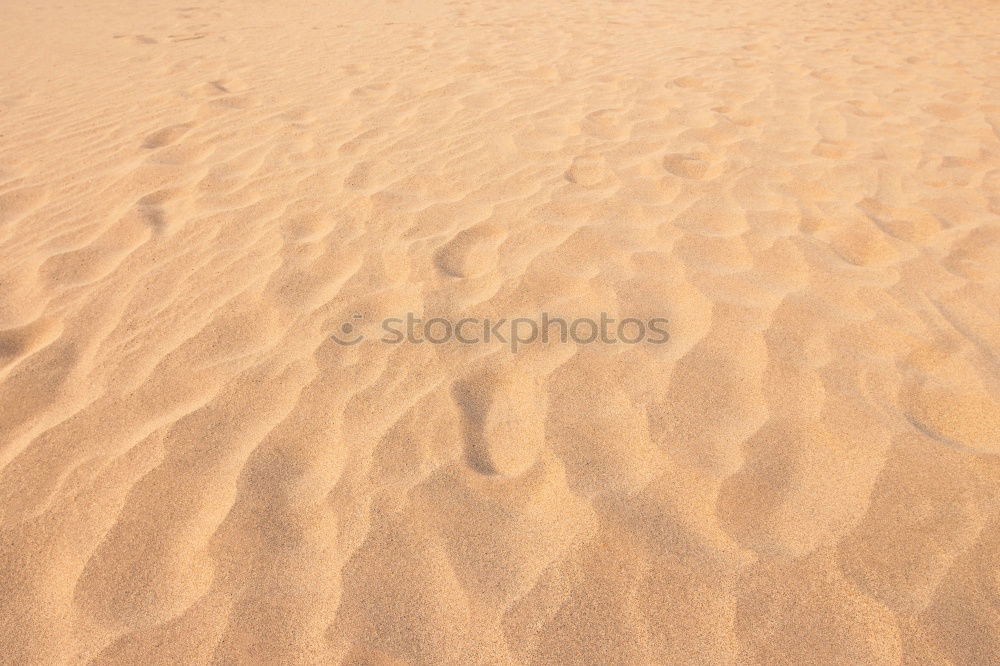 Similar – Image, Stock Photo Upper sixth Beach Coast