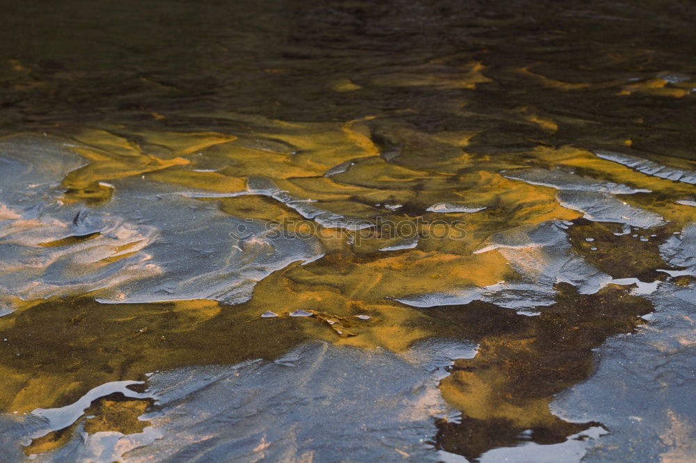 Similar – Foto Bild Am Teich Umwelt Natur