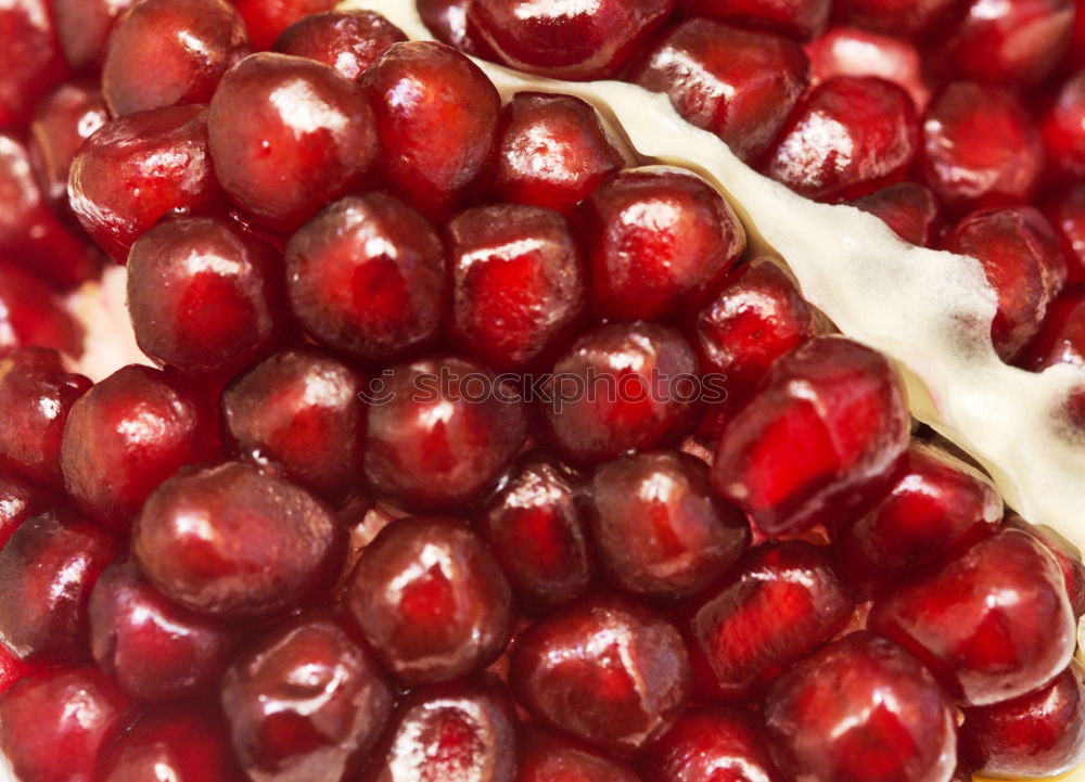 Similar – Glass bowl with red currants and vanilla sauce