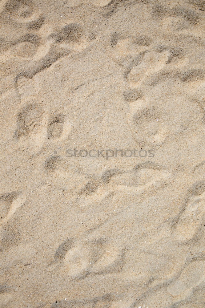 Similar – lines in sand Sand