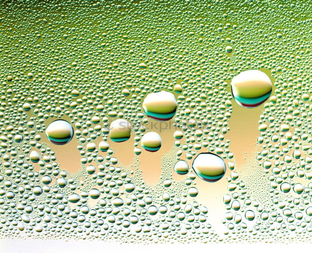 Similar – Foto Bild Ahhhh … *rülps* Becher