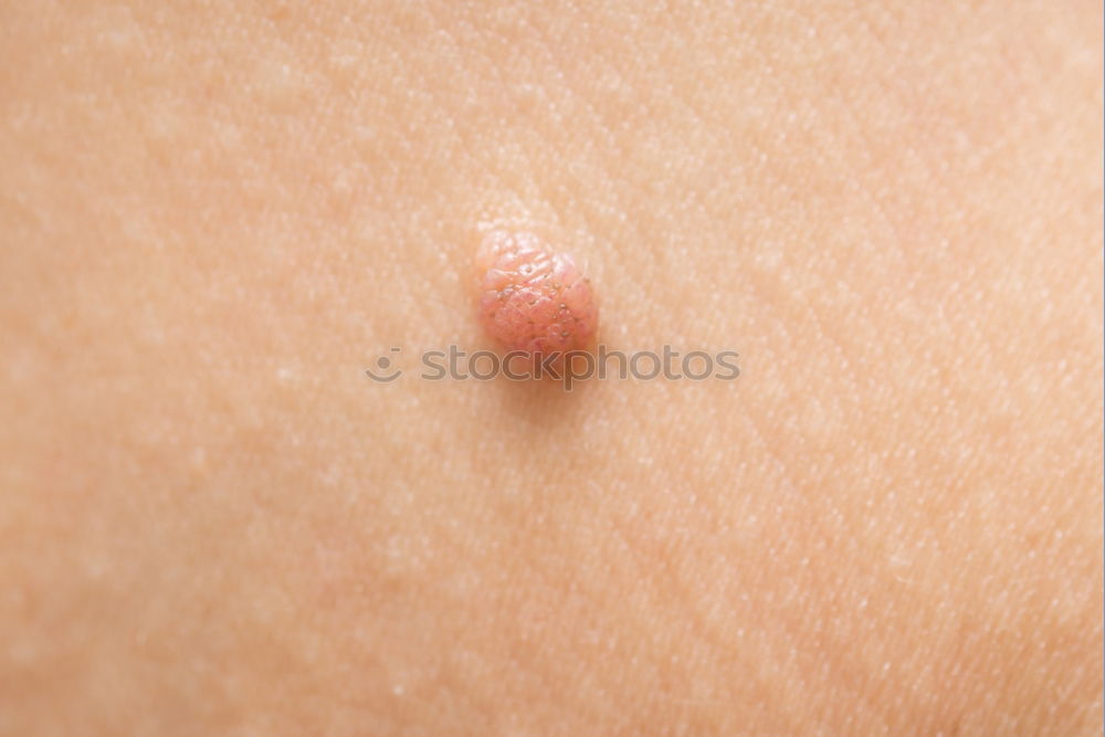 Similar – umbilicus Fluff Navel