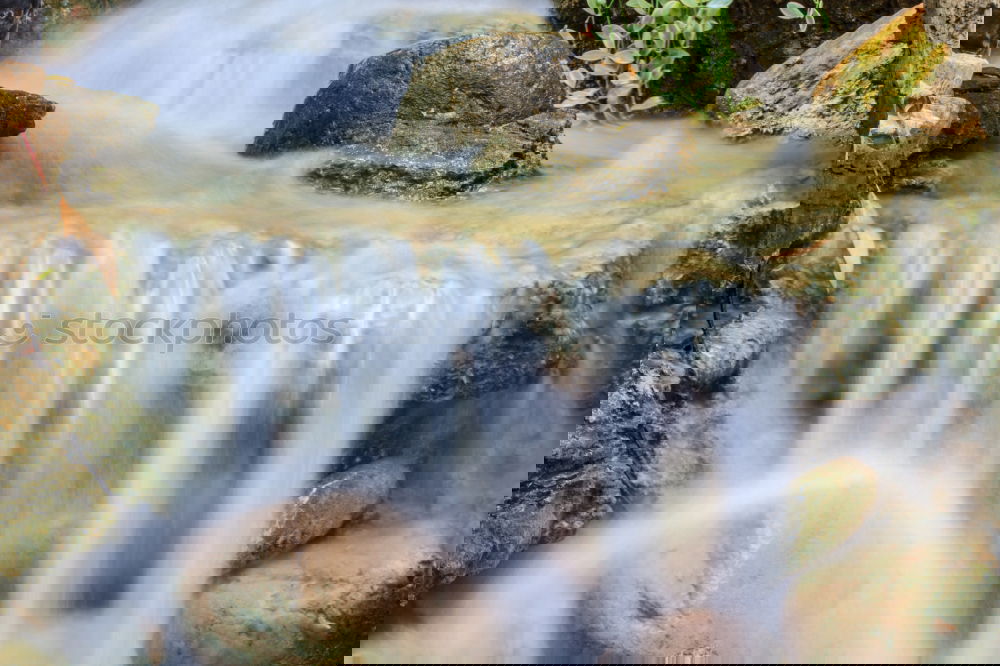 Similar – Foto Bild Quelle Natur Strahlung