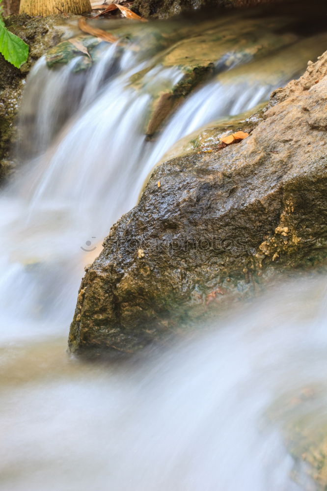 Similar – Image, Stock Photo Crystal clear Nature Water