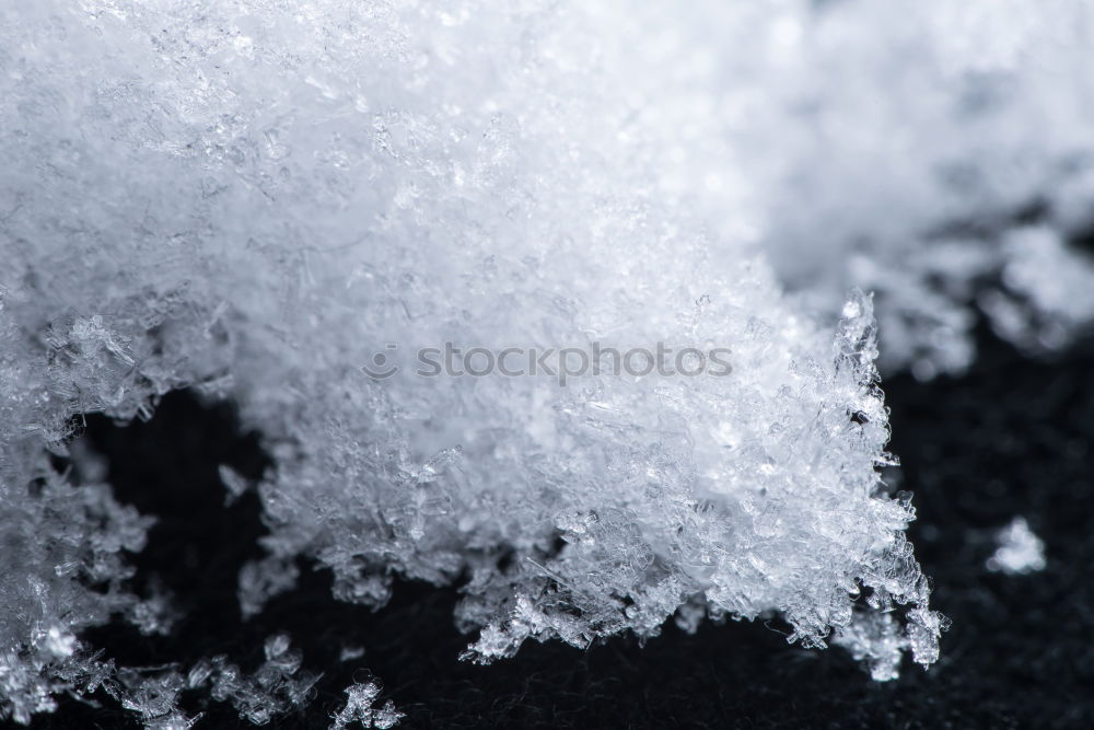 Similar – Image, Stock Photo Charming Winter Cold