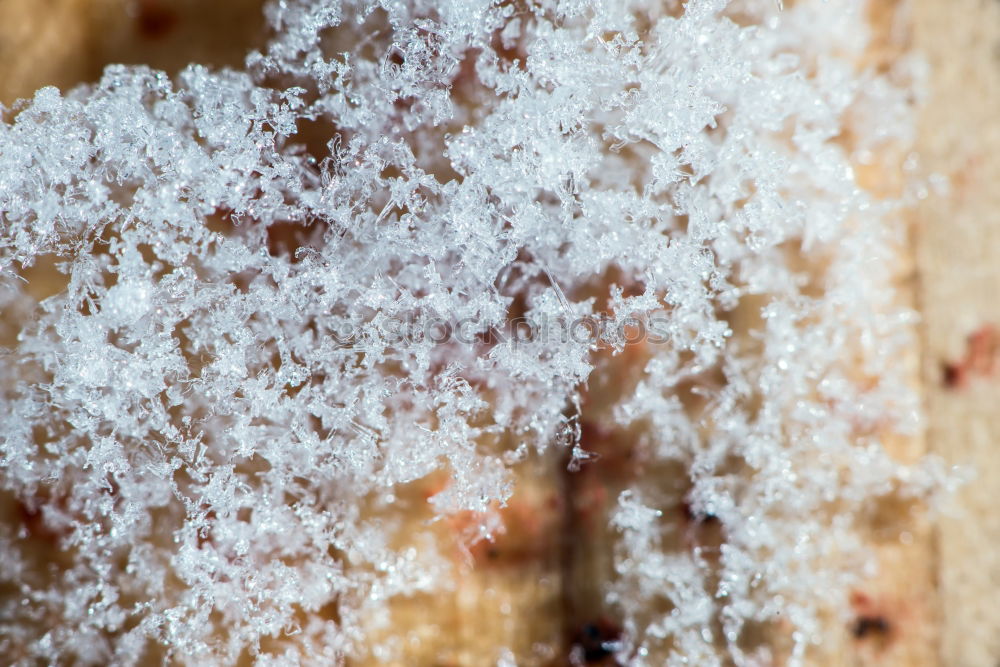 Similar – Image, Stock Photo Foam wash with hair