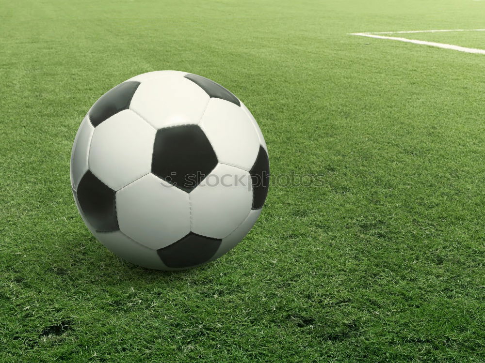 Similar – Image, Stock Photo WORLD CUP 2002 Sports
