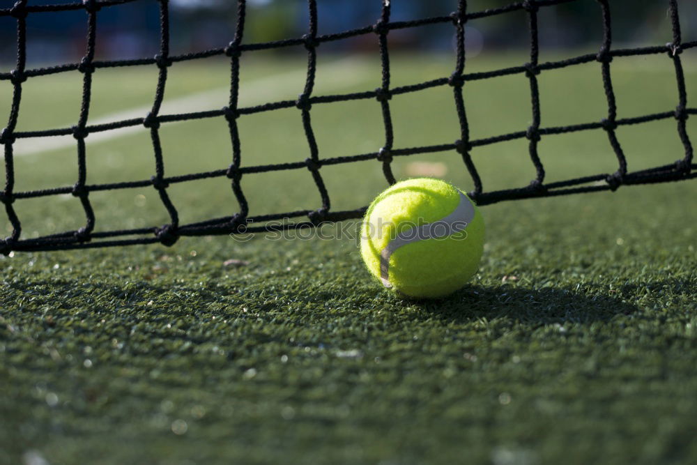 Similar – Image, Stock Photo Padel blade racket resting on the net