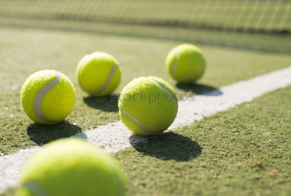 Similar – Padel blade racket resting on the net