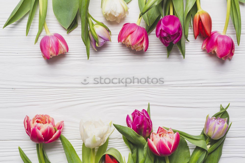 Hands preparing a Red tulips arrangement