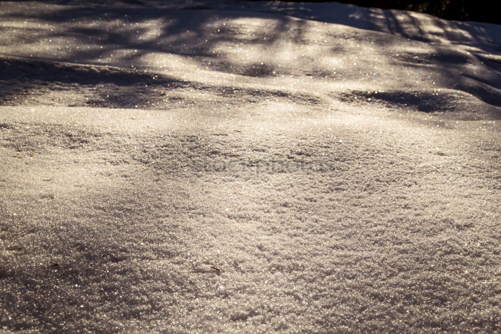 Similar – Image, Stock Photo Traceless Snow Leaf Tree