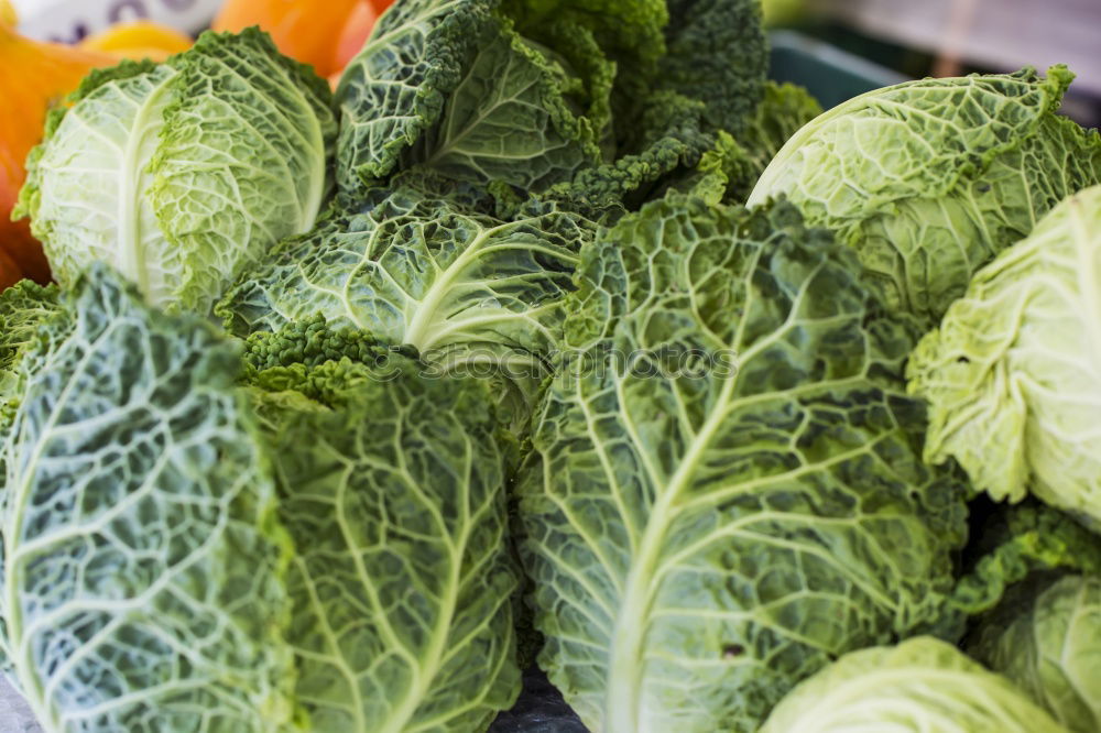 Similar – Image, Stock Photo savoy cabbage Food