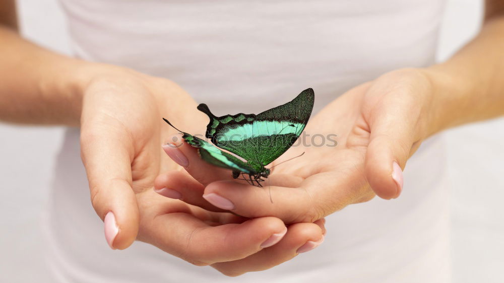 Similar – Image, Stock Photo lightness Happy Beautiful