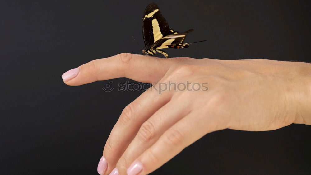 Similar – hand-tame 1 Hand Meadow