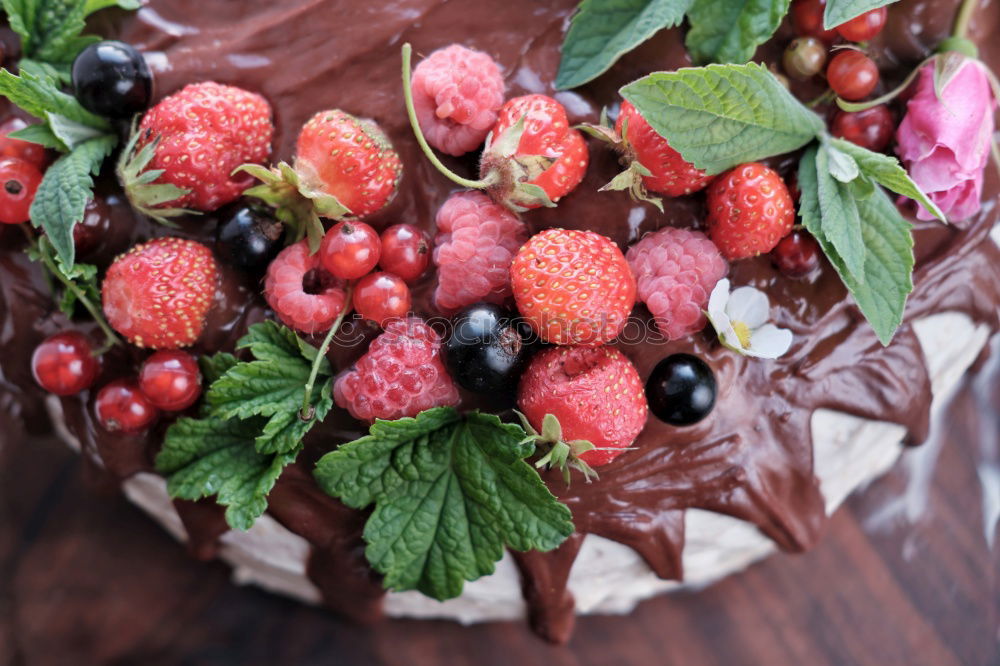 Similar – Image, Stock Photo Happy Birthday Gateau