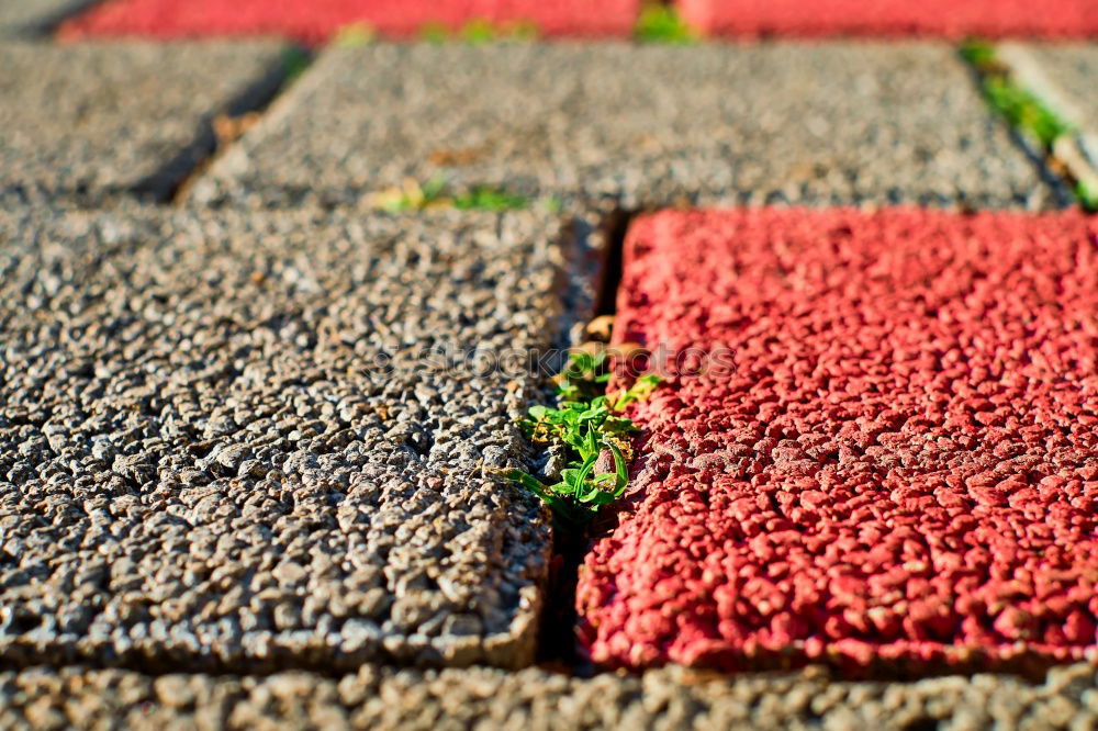 Similar – Image, Stock Photo Period! Meeting point End