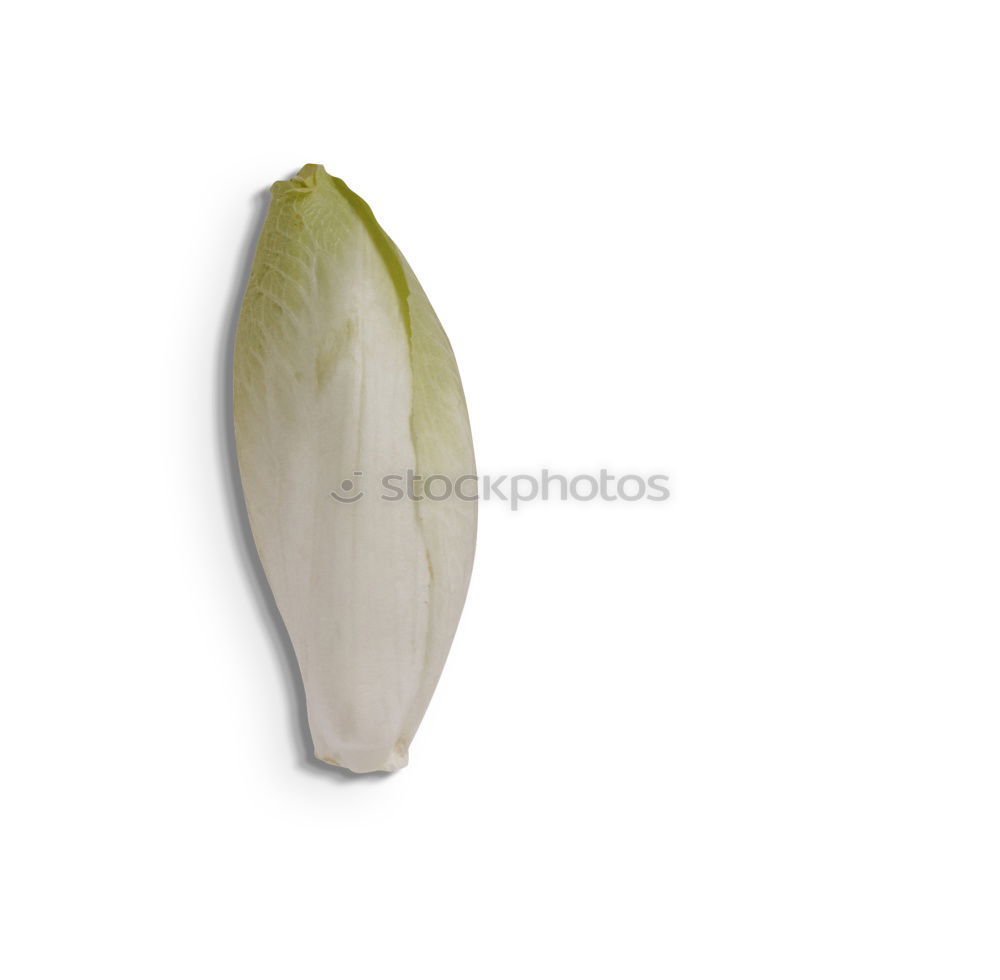 Similar – Asparagus tips, blue,