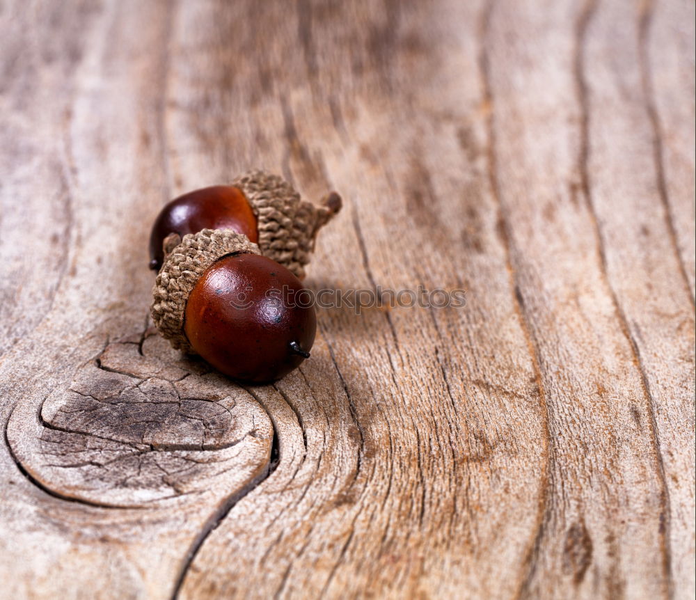 Similar – Image, Stock Photo nuts Food Nutrition