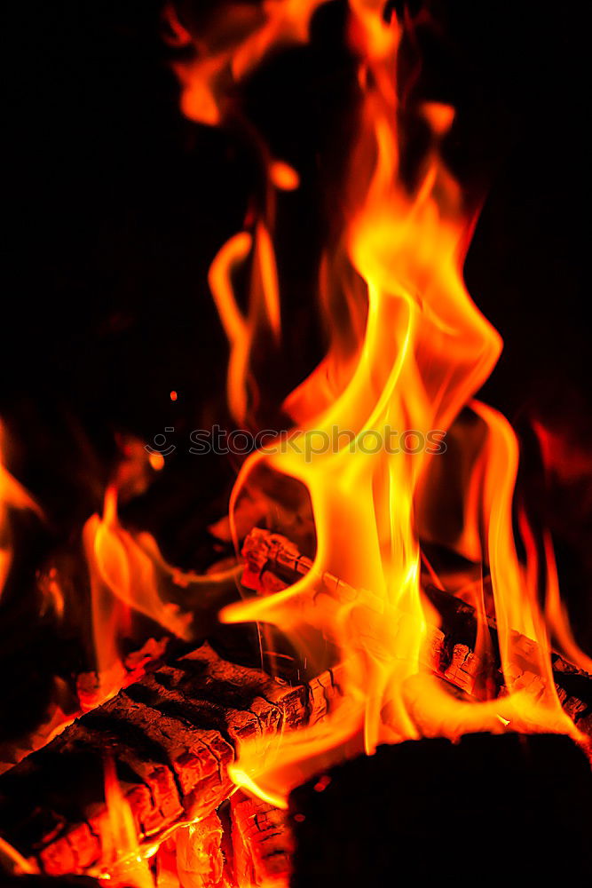 Similar – Image, Stock Photo Forest fire