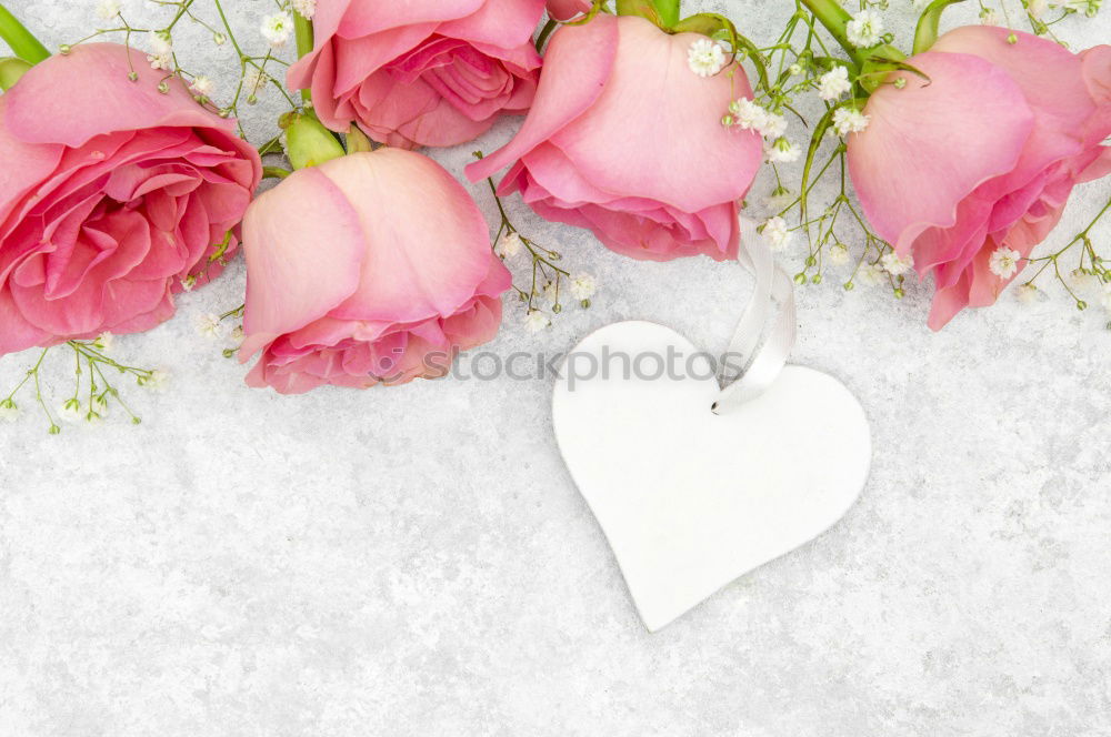 Similar – Table with cup of coffee, gift and pink tulips