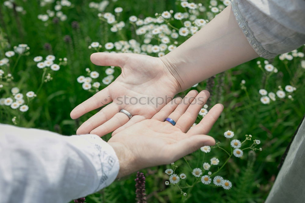 Similar – Hand in hand with a bouquet of flowers