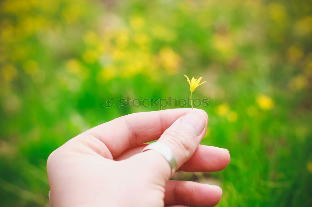 Similar – Image, Stock Photo Mother’s Day Well-being