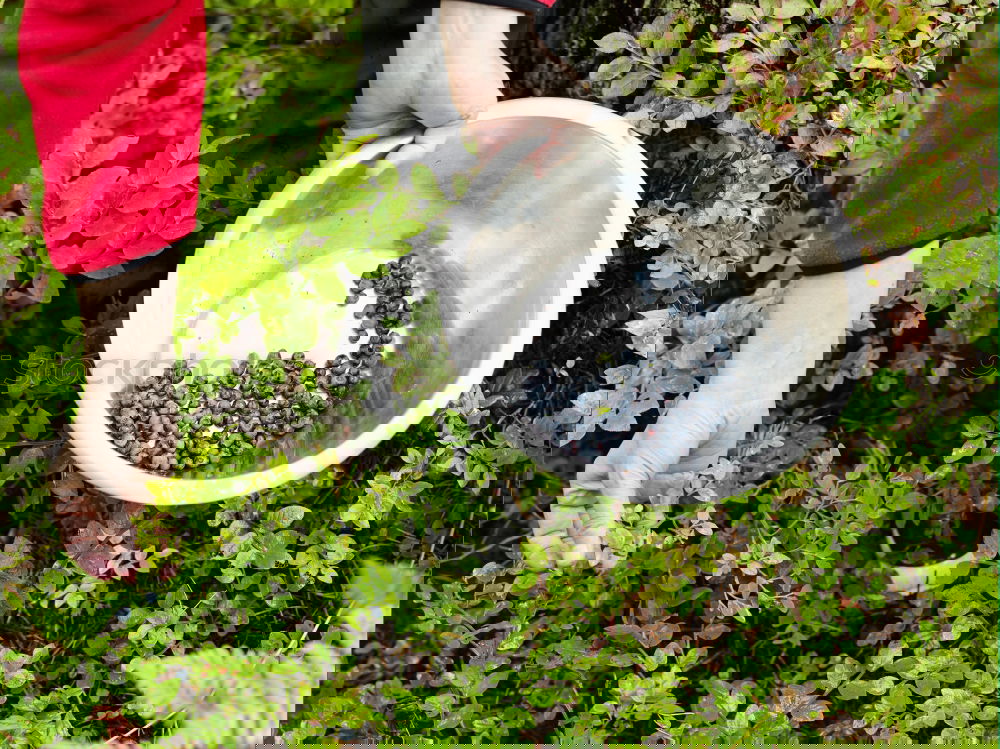 Foto Bild Lese Natur Landschaft