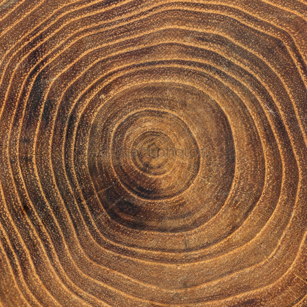 Similar – Image, Stock Photo Wood on wood Table