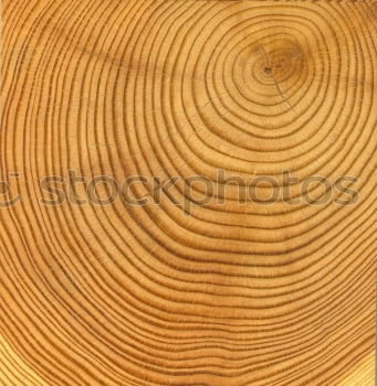 Image, Stock Photo Wood on wood Table