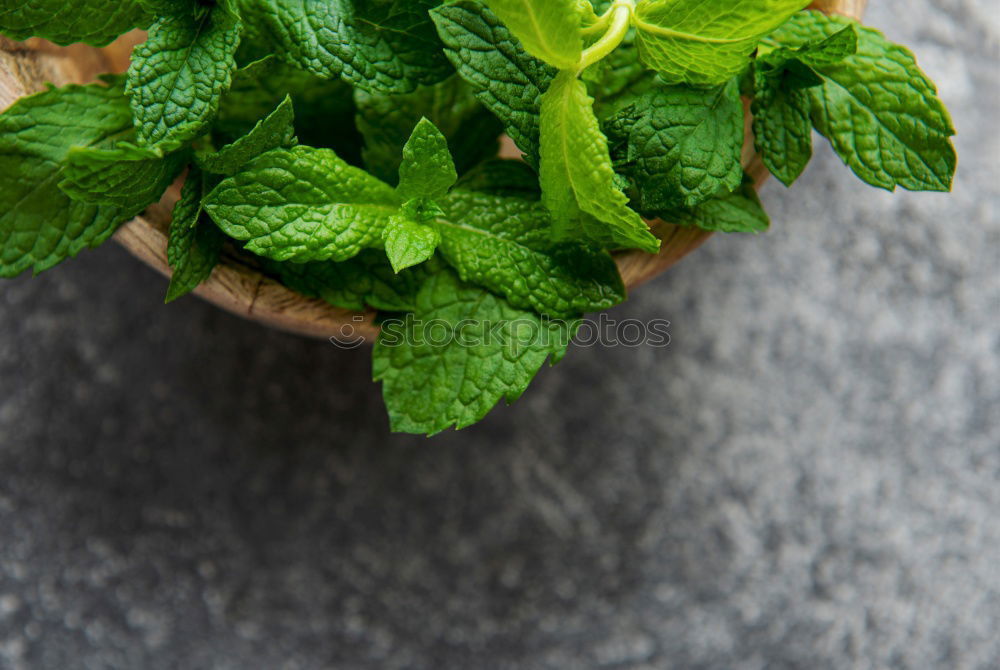 Similar – Sage bundle in glass on wood background