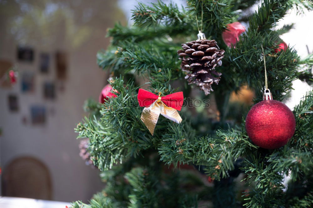 Similar – Image, Stock Photo Nostalgic Christmas decoration with delicate fir branches, red bauble and vases on an old table. Red christmas bauble hangs shiny on twigs. Glowing Christmas bauble hanging from branches in old white nostalgic porcelain pots at home.