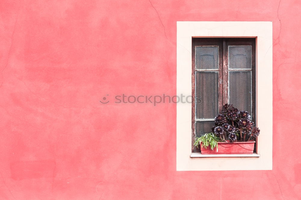 Similar – Image, Stock Photo spring Environment Plant