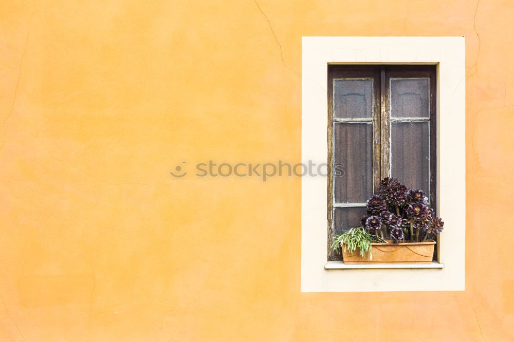 Similar – Image, Stock Photo finestra VII Art Esthetic