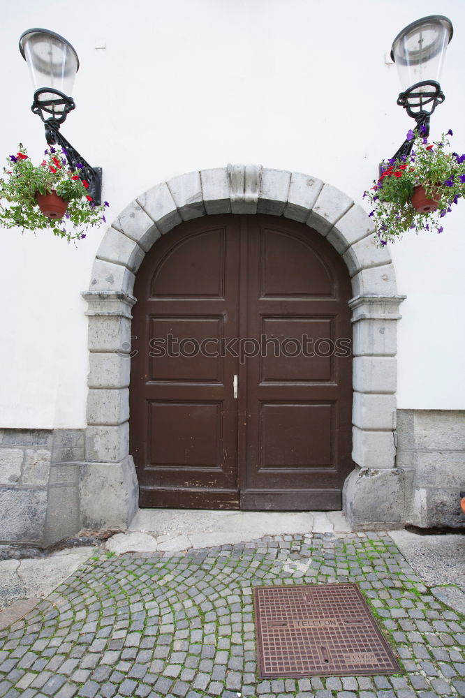 Foto Bild parkplatz Himmel Pflanze