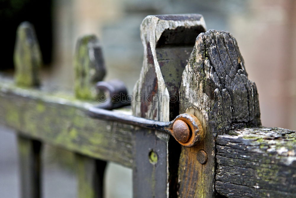 Image, Stock Photo mysterious Wood