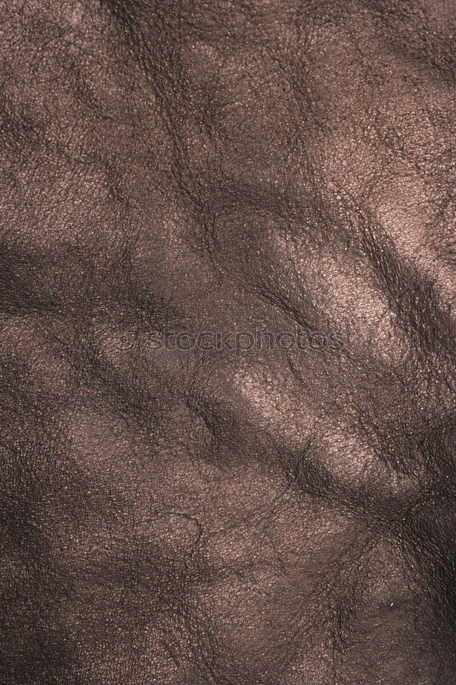 Similar – Image, Stock Photo dry sand and the beach in lanzarote