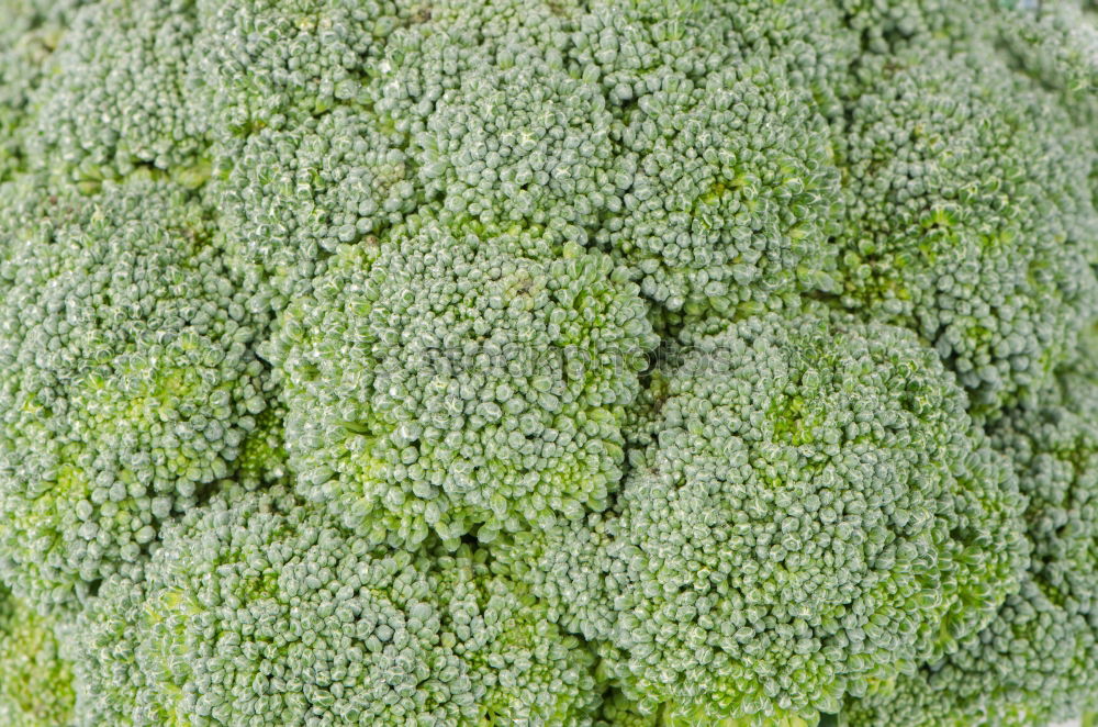 Similar – Foto Bild fractals in veges Brokkoli