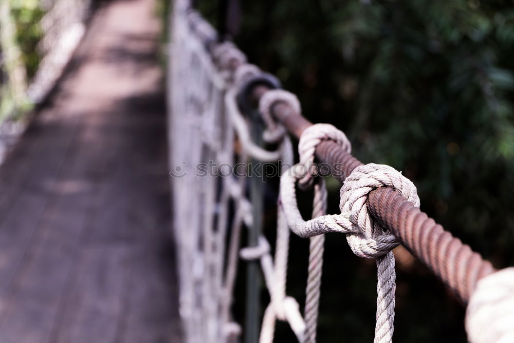 Similar – Climbing park Karabiner