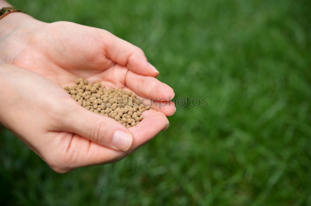 Similar – Image, Stock Photo Hand full of wild berries