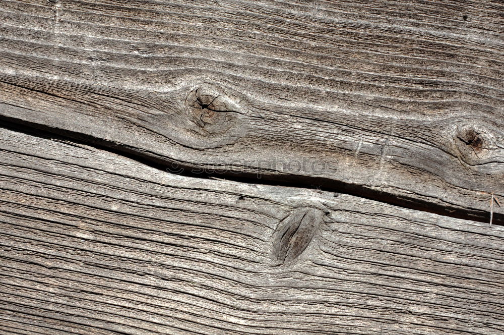 Similar – Image, Stock Photo knot hole Wood