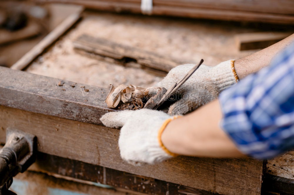 Similar – Professional carpenter with his small dog.