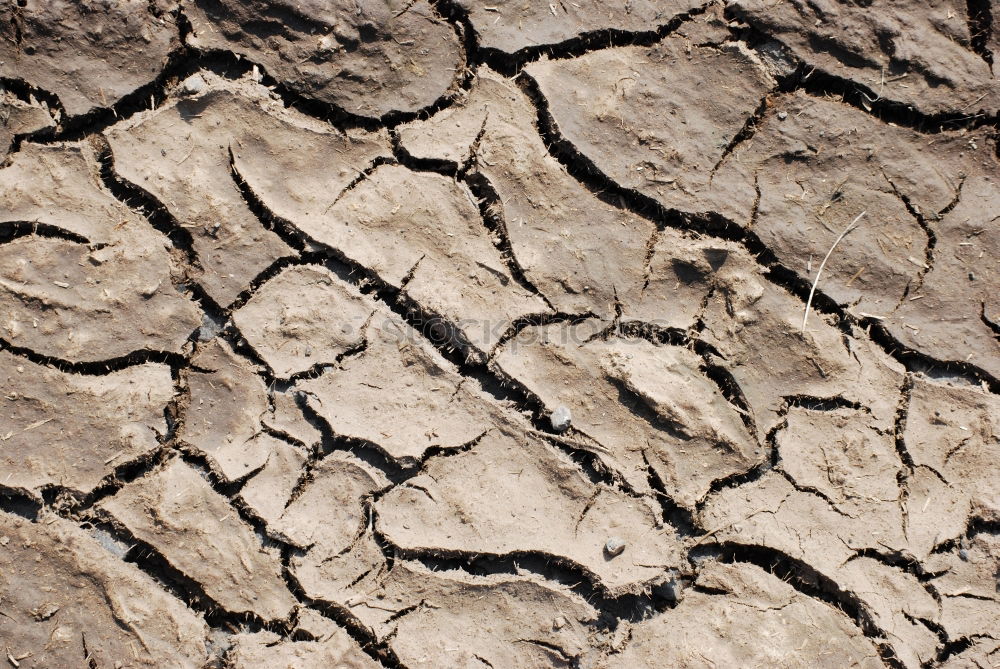 Similar – Image, Stock Photo earth_1 Nature Earth Sand