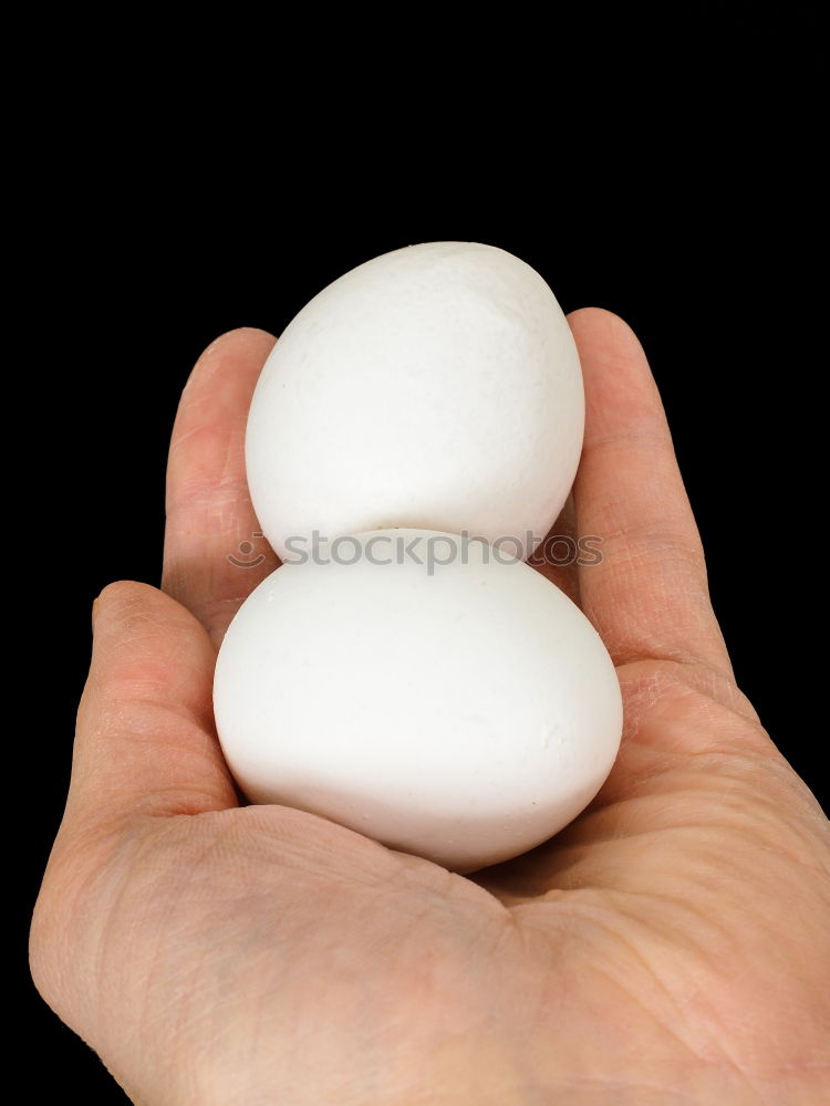 Similar – Image, Stock Photo Easter Egg Hand Child