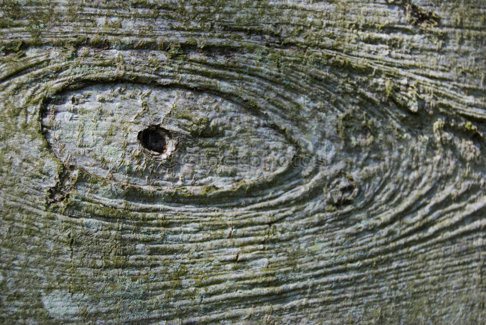 Similar – Image, Stock Photo knot hole Wood