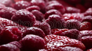 Similar – Image, Stock Photo Frozen cherries Food Fruit