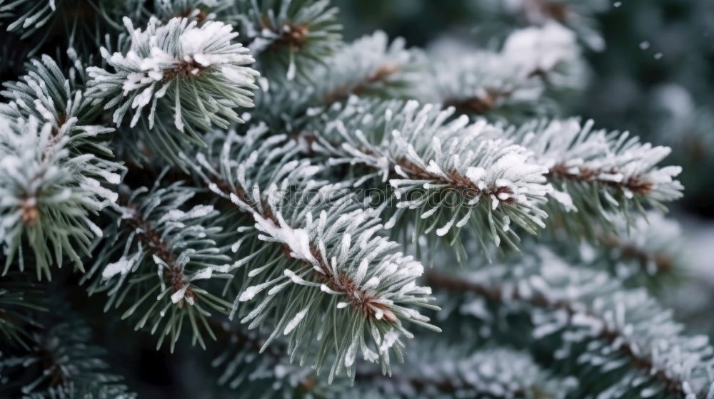 Similar – Image, Stock Photo first snow Decoration Ice